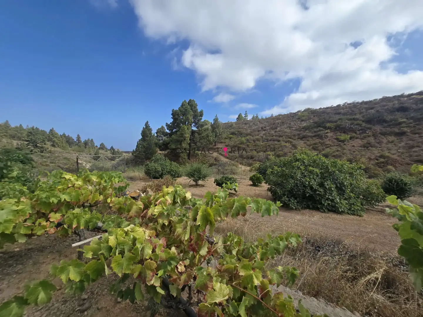 Terreno en venta en Cruz de Tea