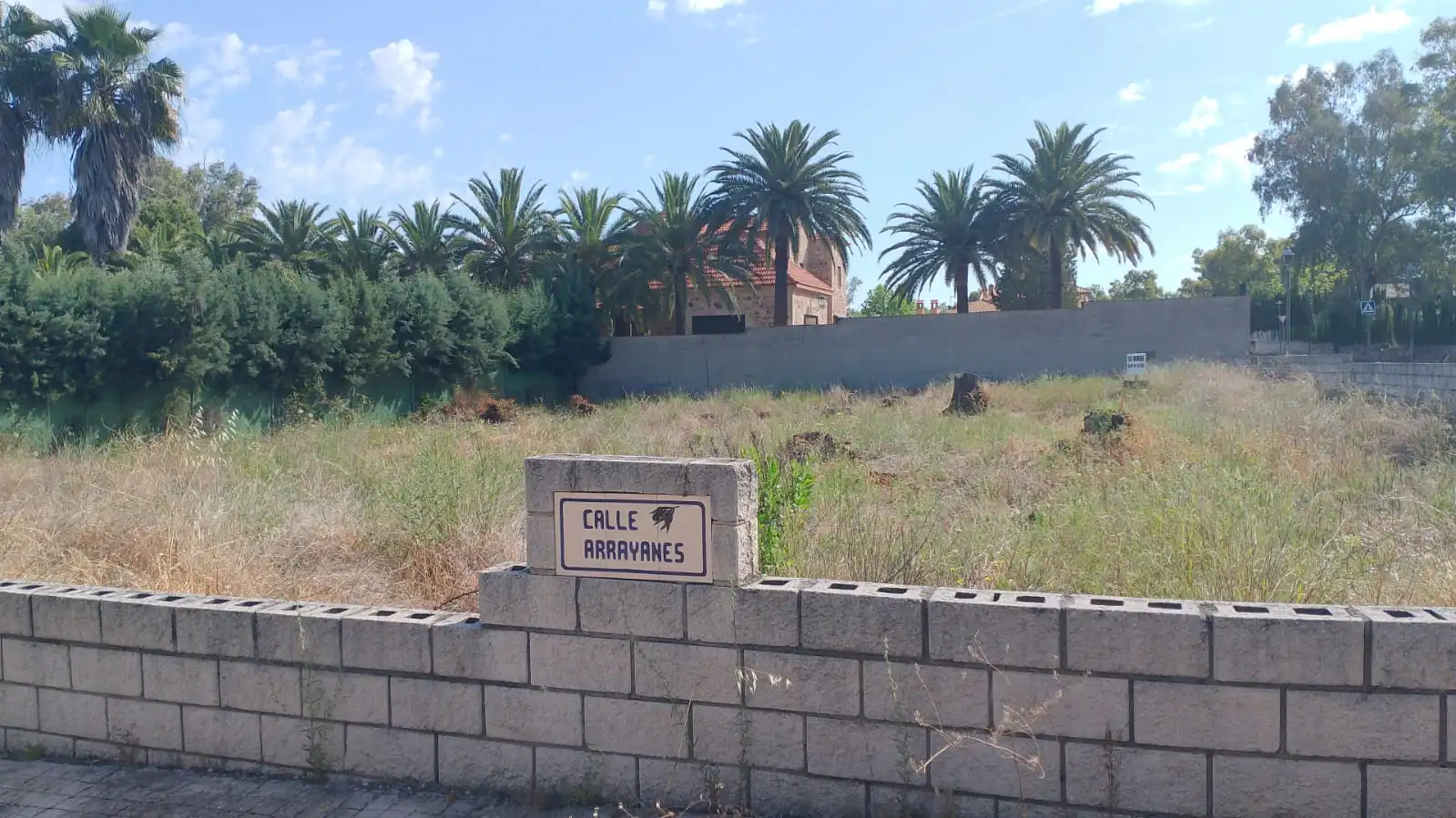 Terreni e lotti in vendita a Colonia la Cruz 47