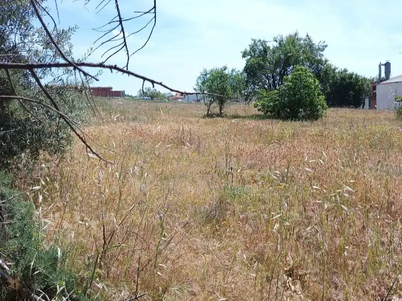 Terreny industrial en venda en El Viso de San Juan