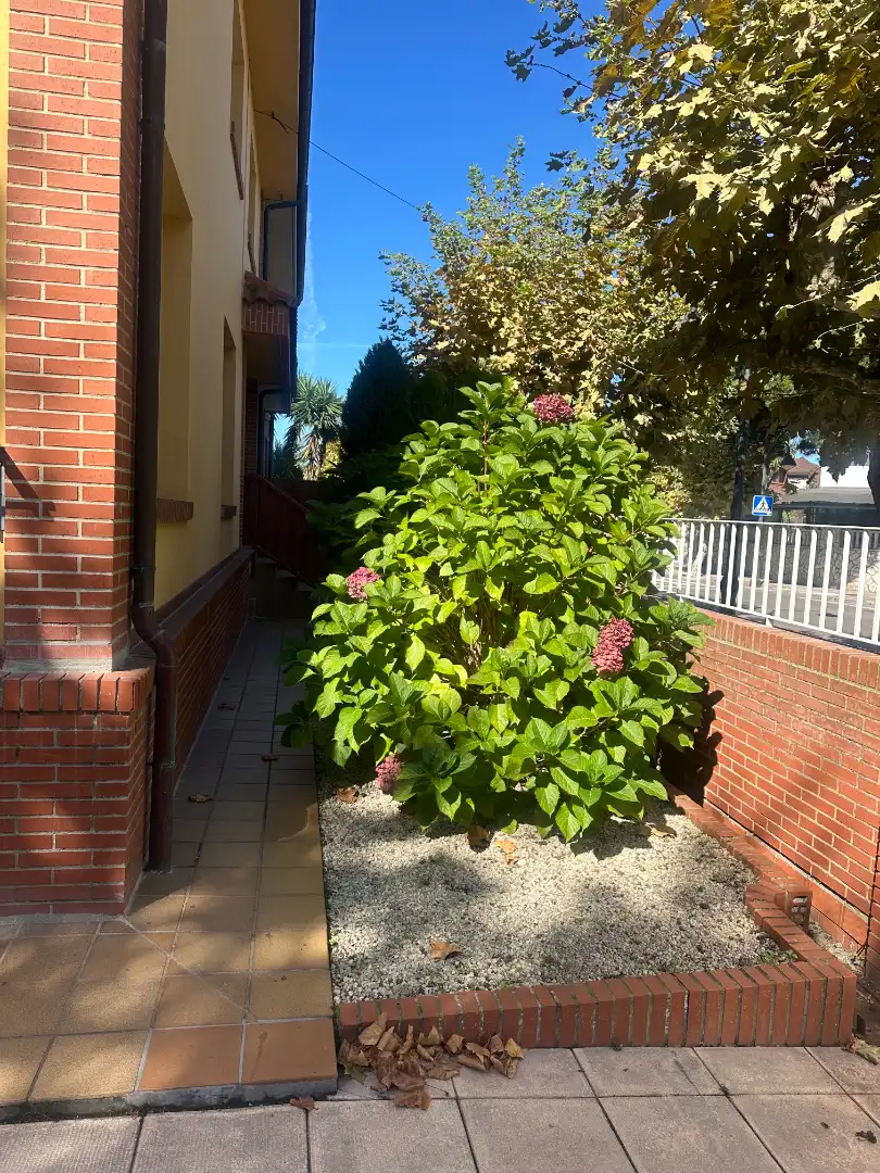 Villa mit Garten zum Verkauf in Calle Nicanor Piñole, imagen 55