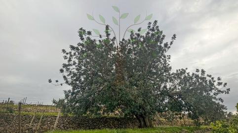 Foto 3 de Casa o xalet de lloguer a Diseminados Xarraco, Sant Joan de Labritja, Illes Balears