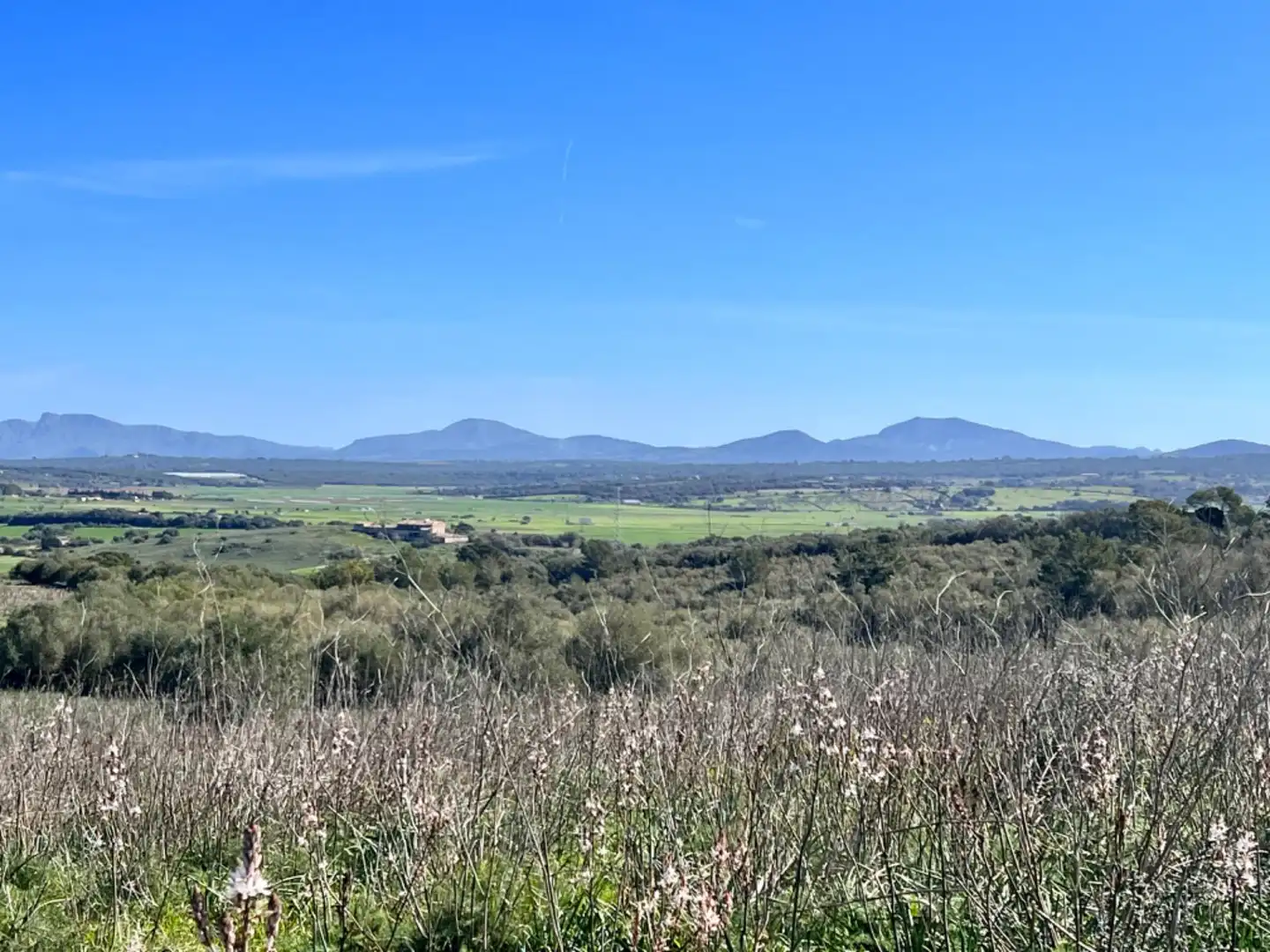 Finca rústica en venta en Petra