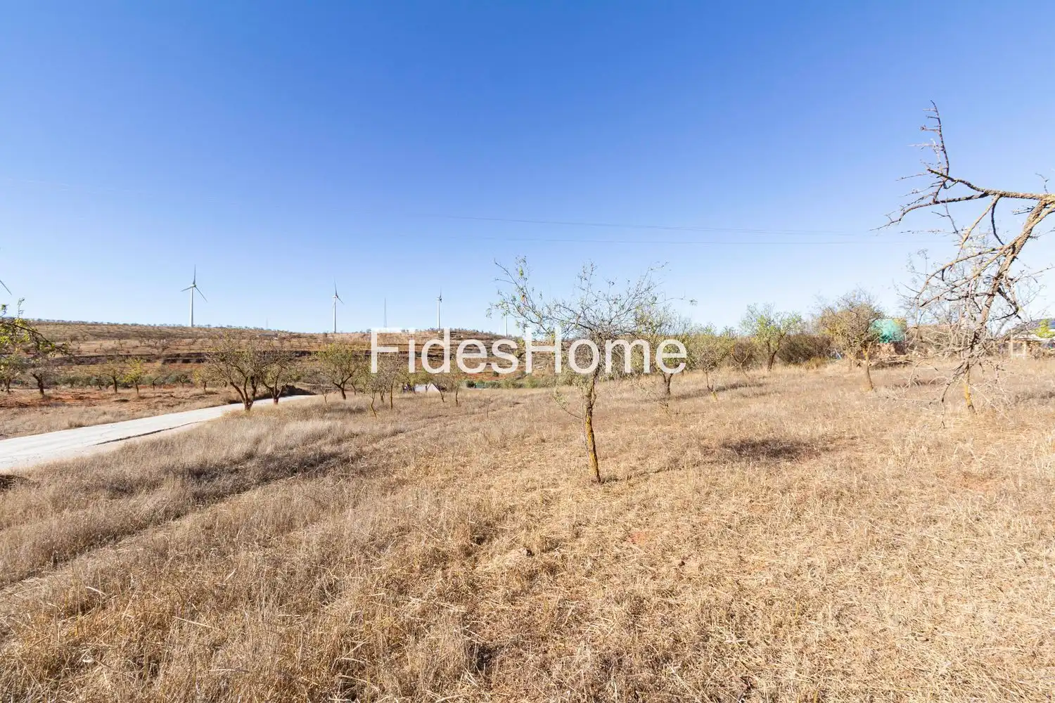 Rural land for sale in XC8V+JXJ Acequias 0, imagen 7