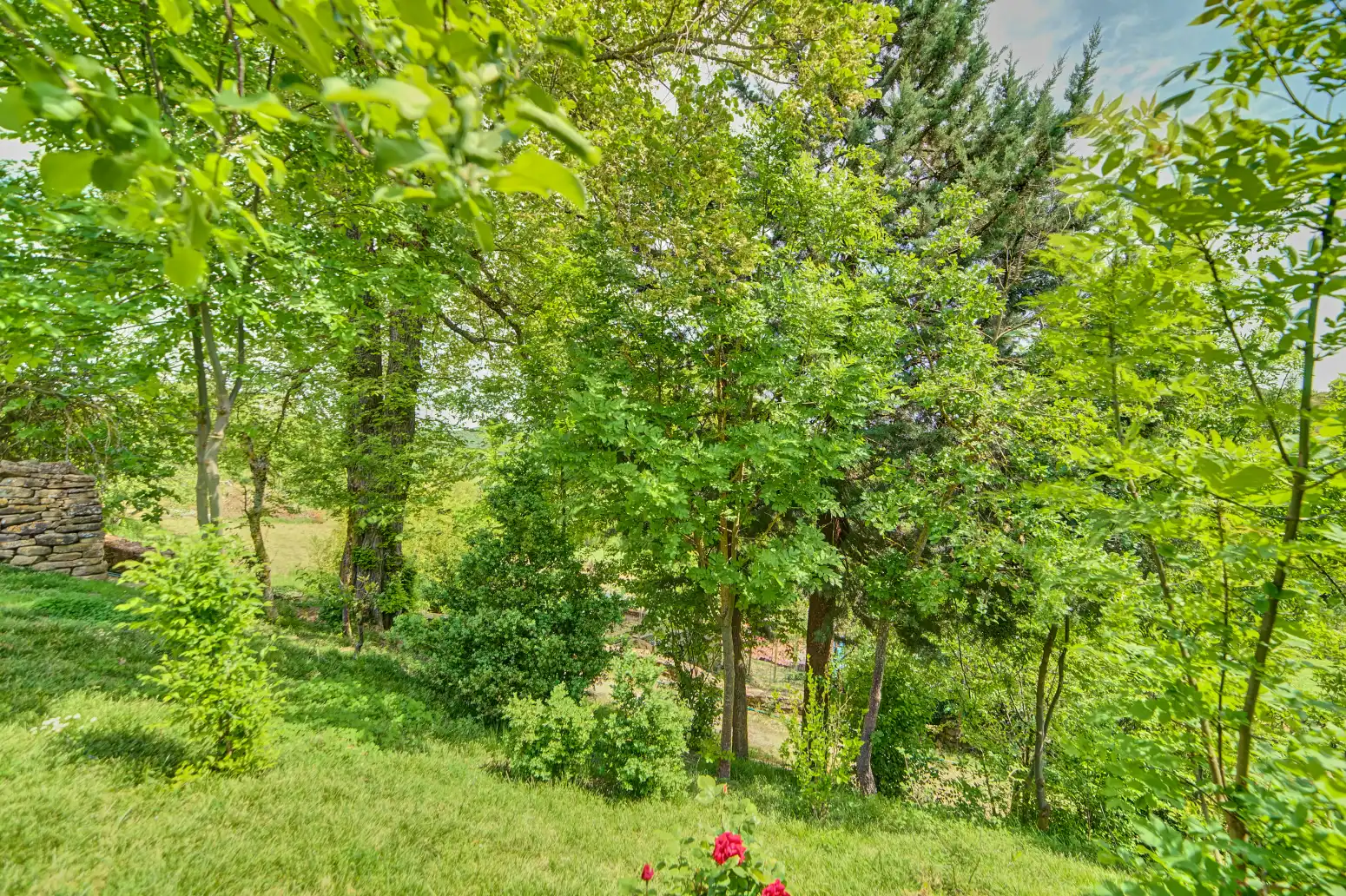 Houses for sale in Izagaondoa