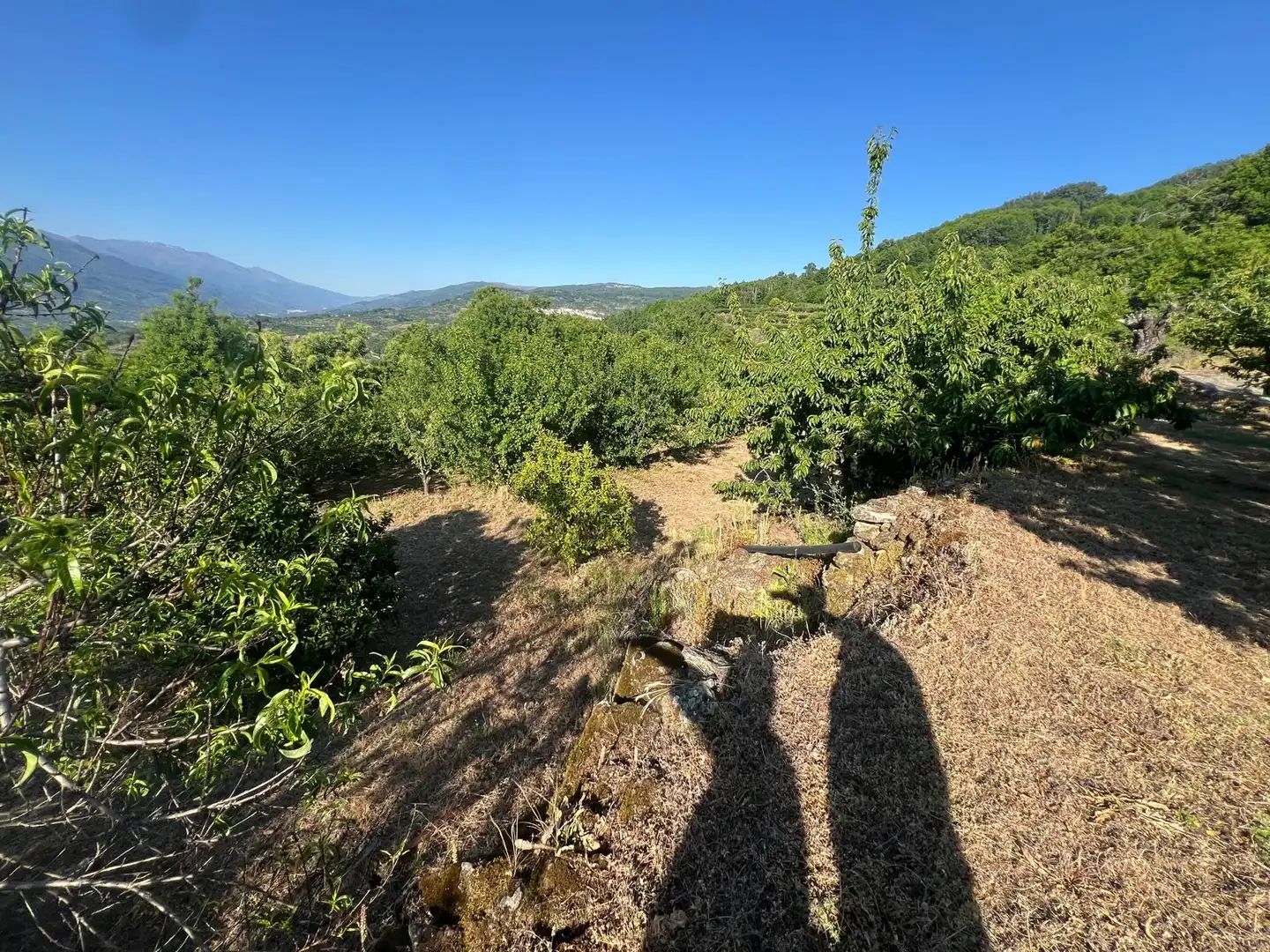 Terreni e lotti in vendita a Casas del Castañar, imagen 11