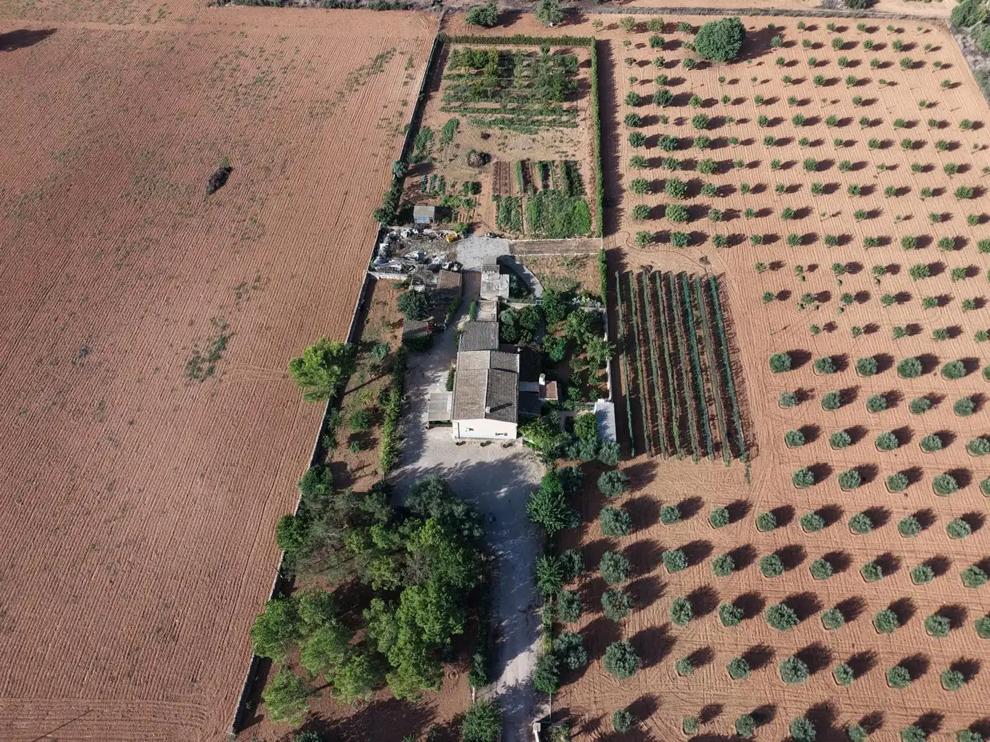 Country homes for sale in Felanitx Poble