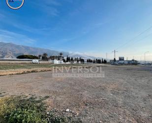 Land for sale in El Ejido