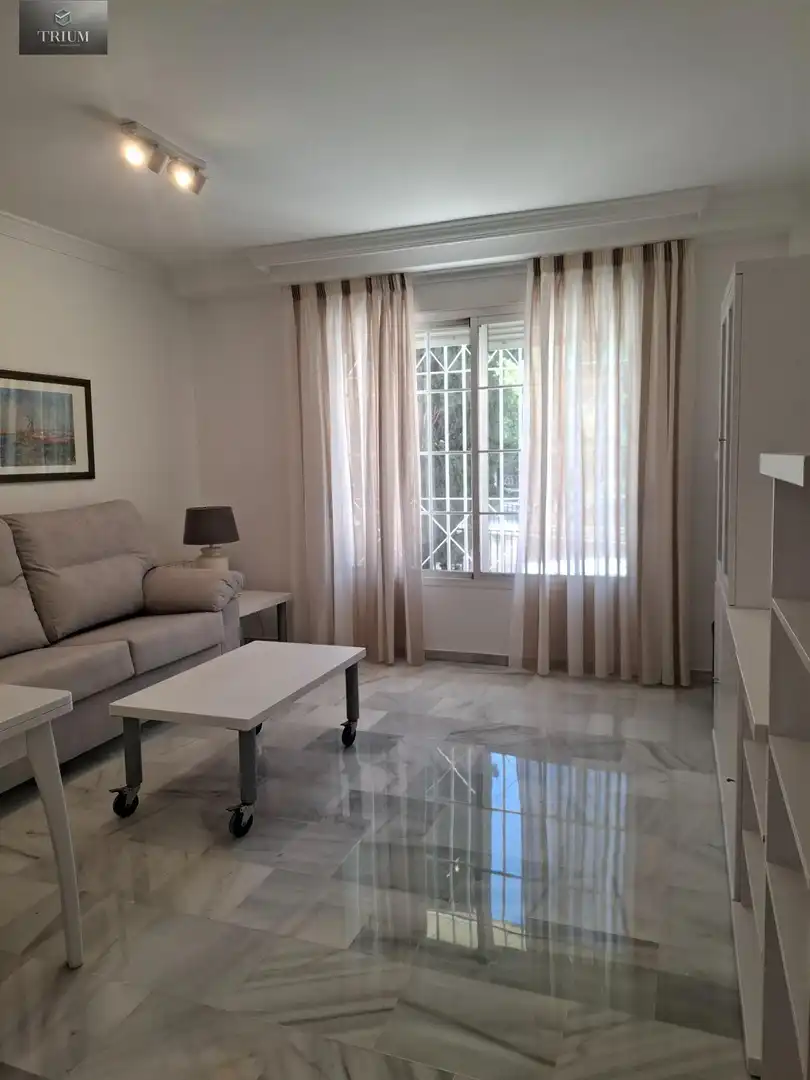 Sala d'estar de Pis de lloguer en Granada amb Calefacció i Moblat