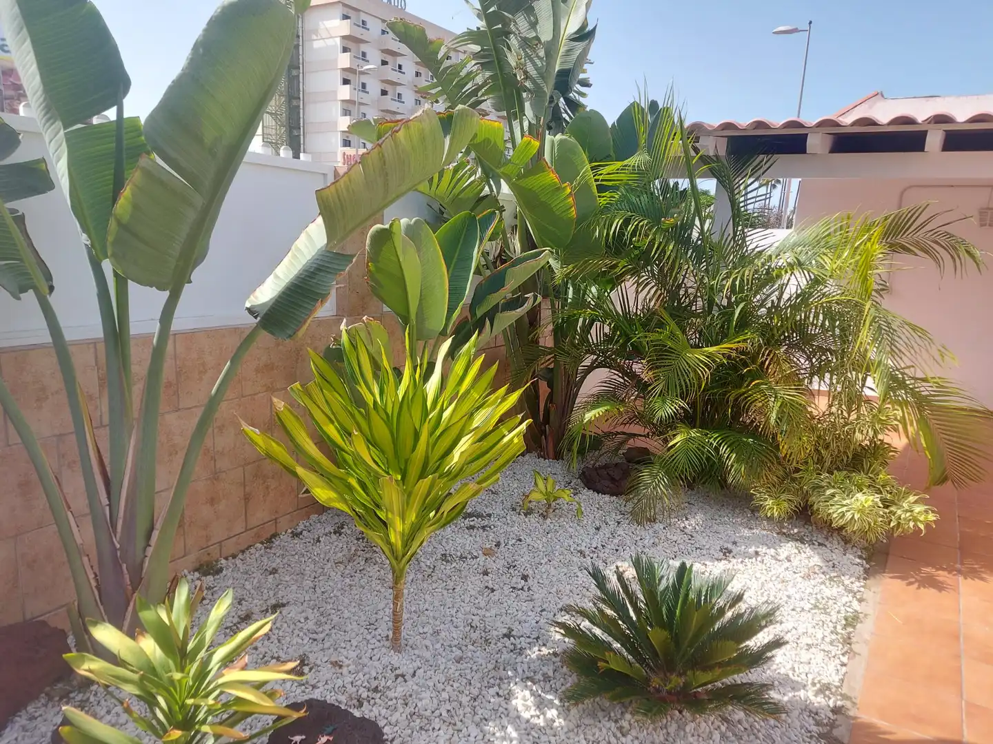 Jardí de Casa adosada de lloguer en San Bartolomé de Tirajana amb Aire condicionat, Jardí privat i Terrassa