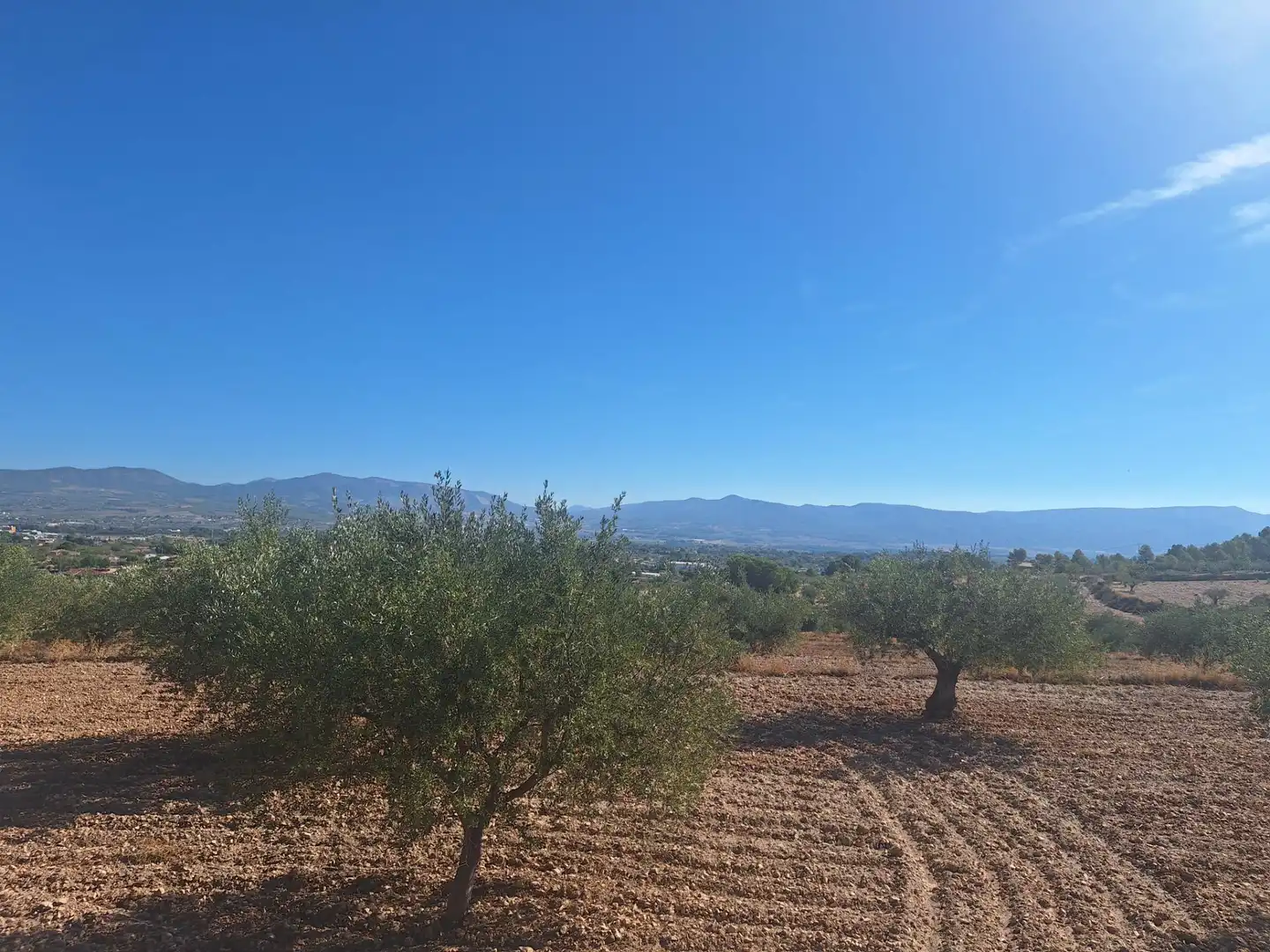 Terreny rústic en venda a Castalla, imagen 14