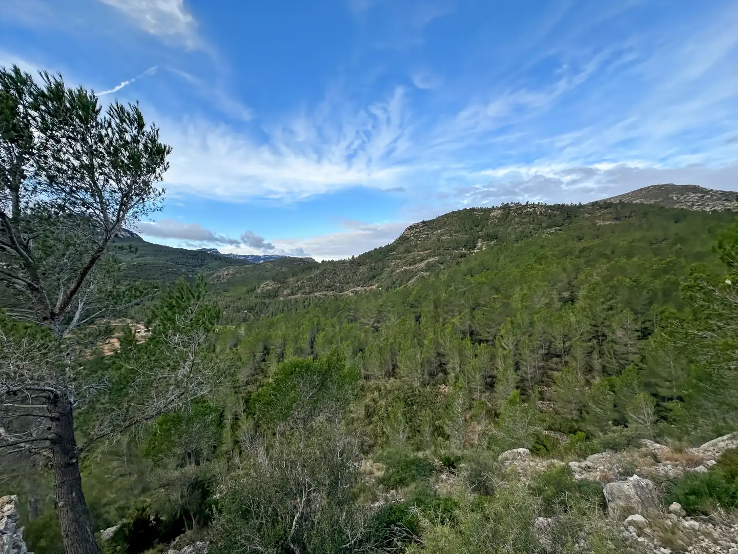 Terrenys i solars en venda a Pratdip, imagen 7
