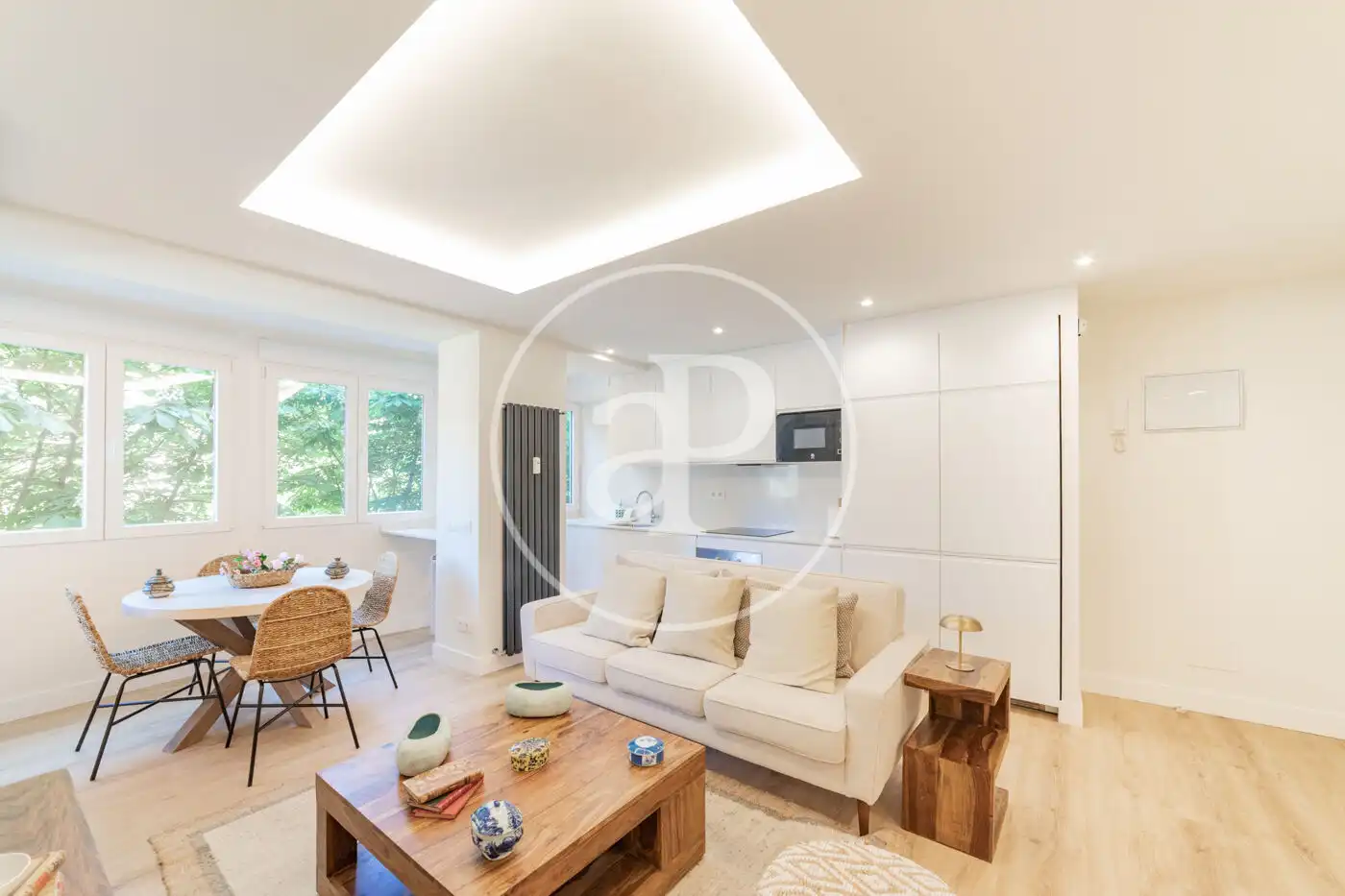 Living room of Flat for rent in Madrid  with Air Conditioner, Heating and Furnished