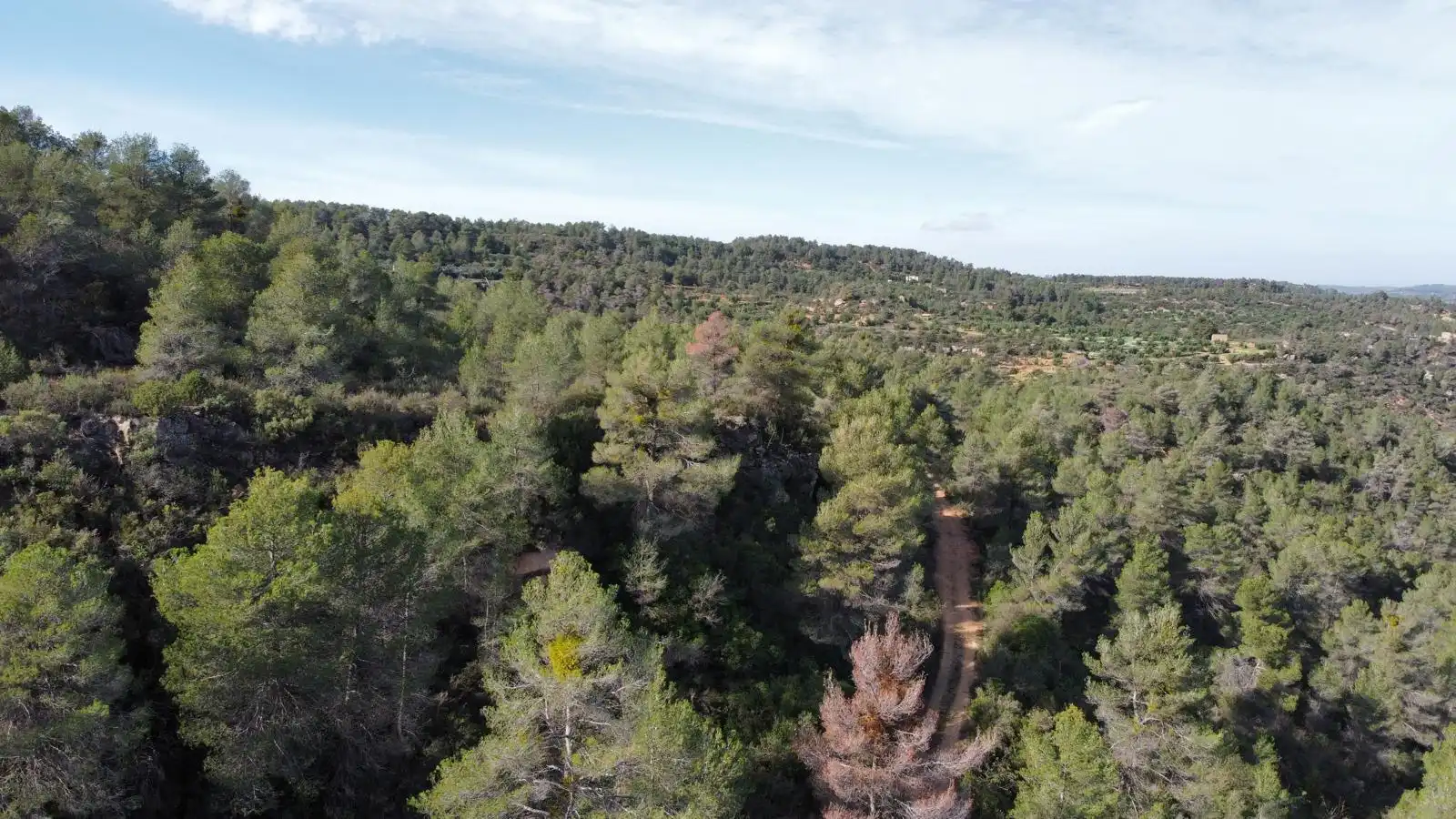 Terreno rustico in vendita a Cervià de Les Garrigues, imagen 26
