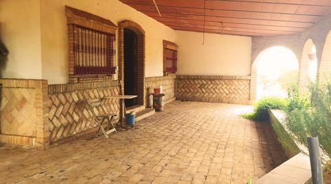 Foto 5 de Finca rústica en venta en Niebla, Huelva