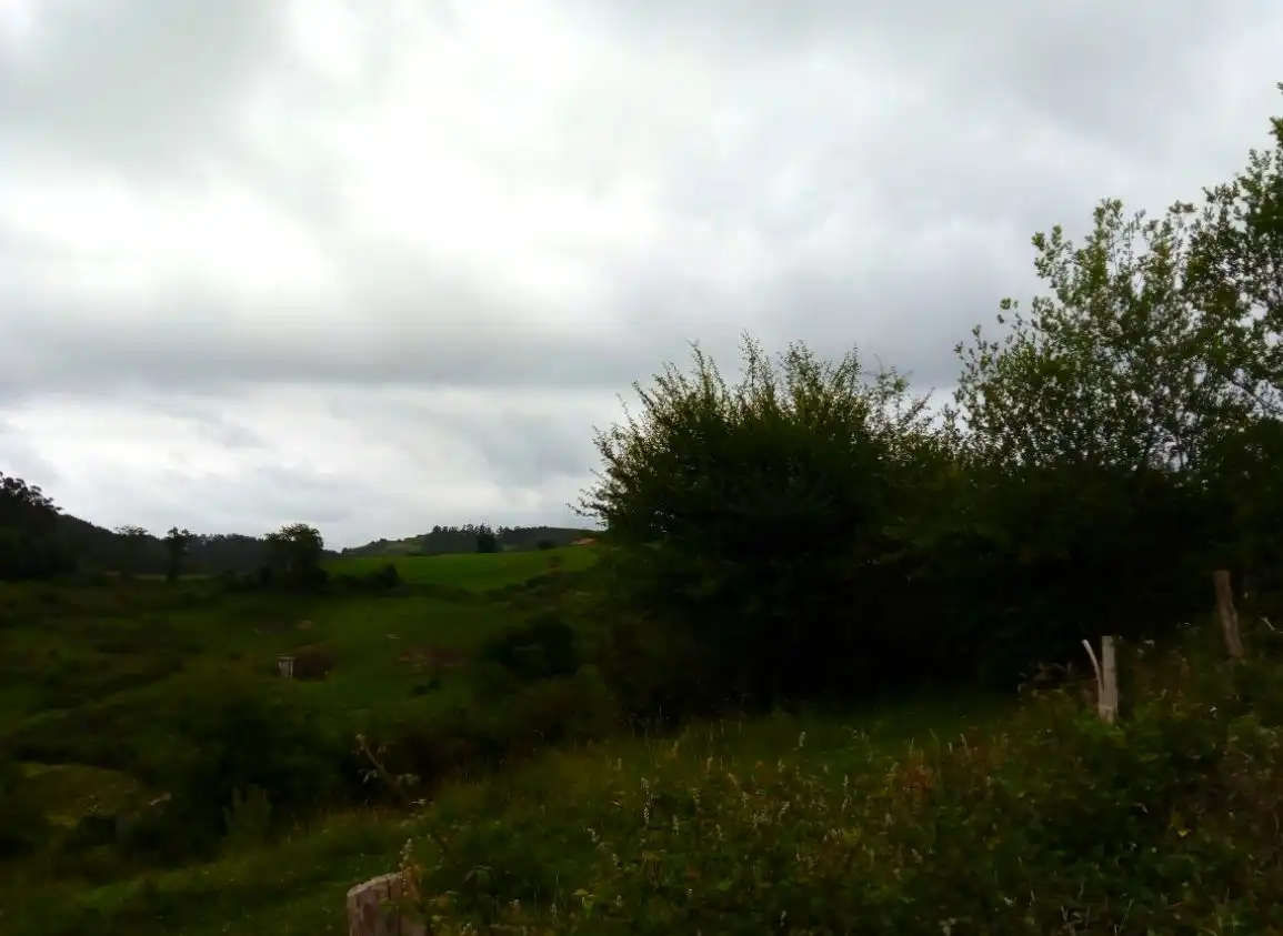 Terrain rustique à vendre à PARAJE MONTE DEL REY Y EL BURCO (POLIGONO 11, PART 122-, imagen 10
