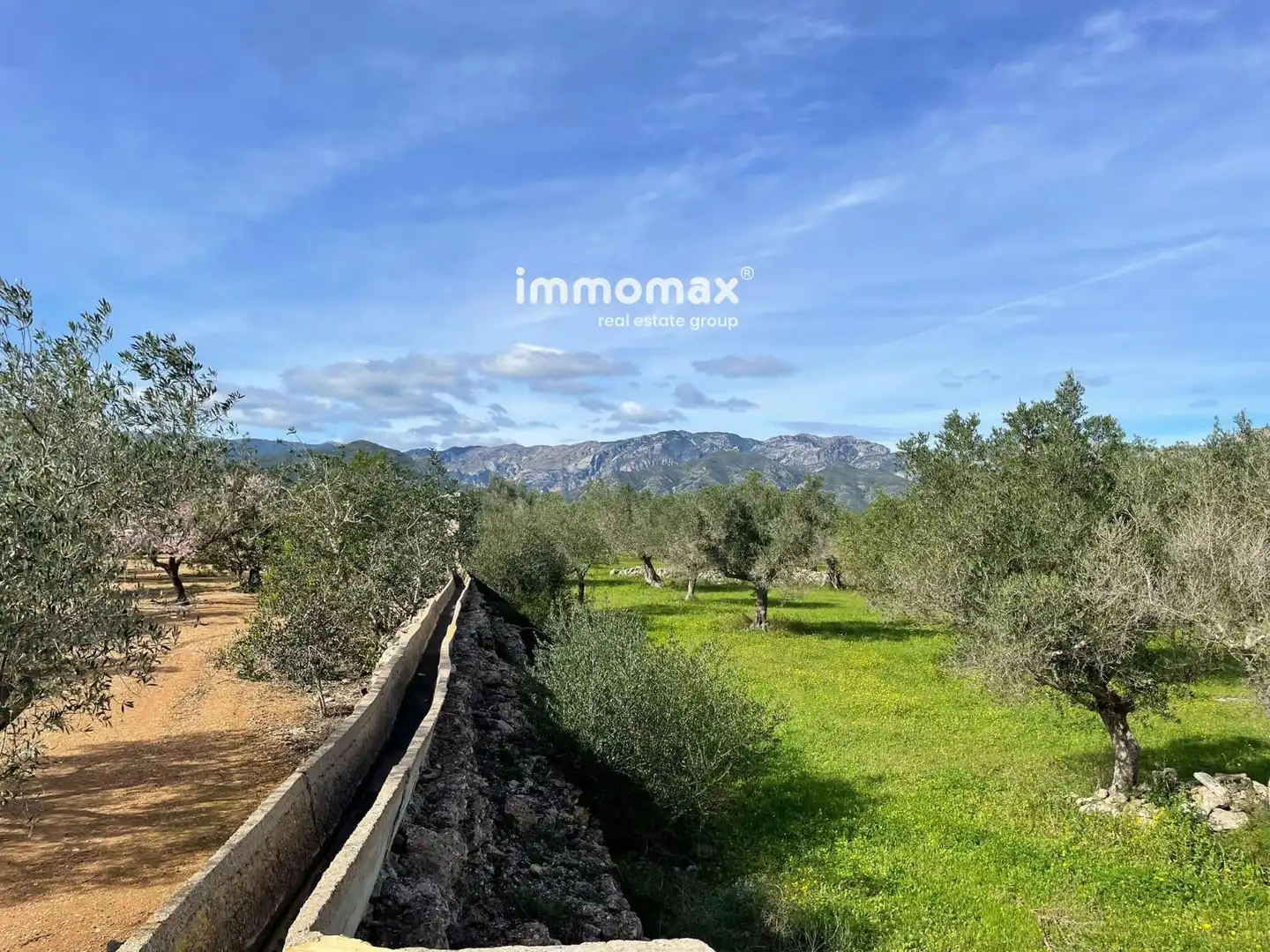 Residential land for sale in 10, imagen 3