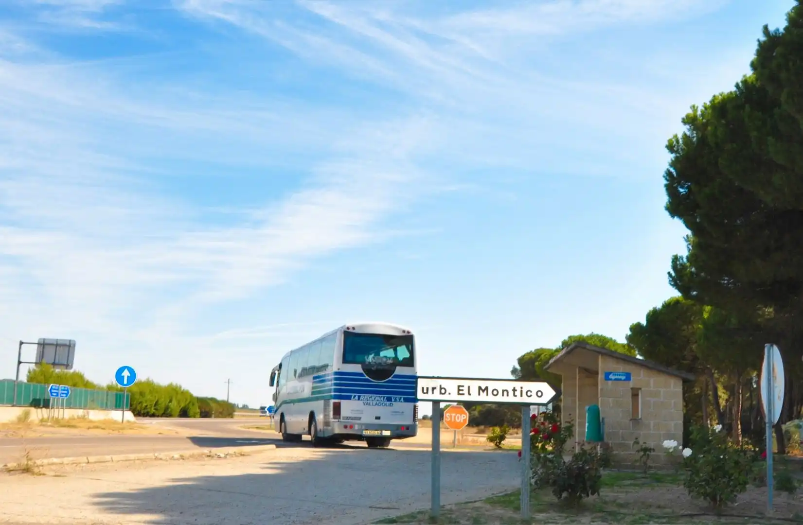 Vista exterior de Casa o chalet en venta en Tordesillas con Calefacción, Jardín privado y Parquet