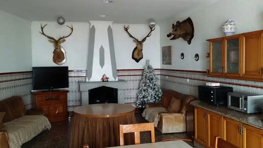 Sala de estar de Casa o chalet en venta en Orellana la Vieja con Aire acondicionado, Calefacción y Terraza