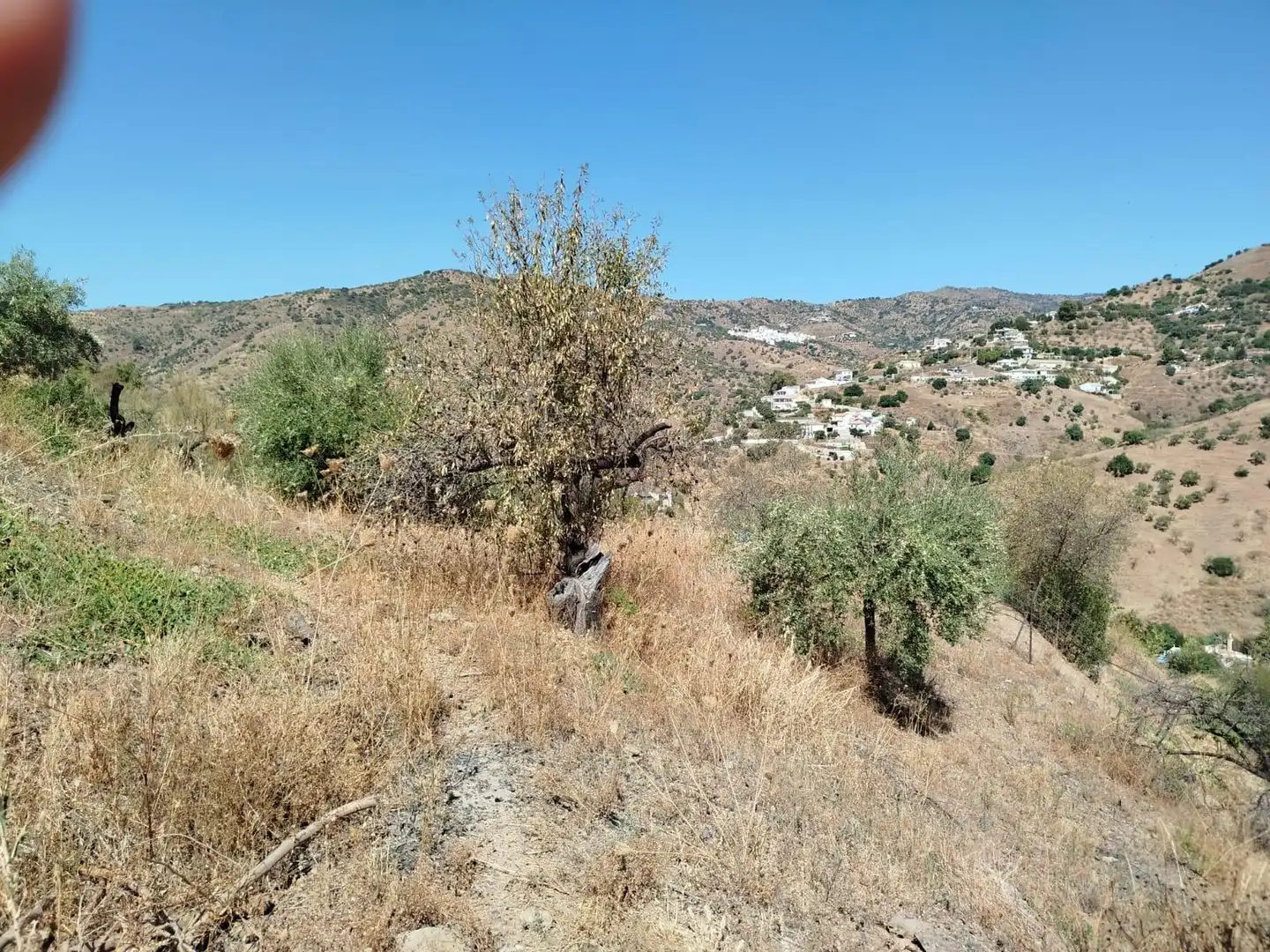 Terreni e lotti in vendita a Este, imagen 14