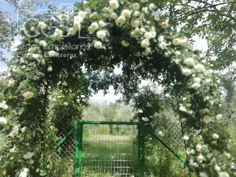 Jardín de Finca rústica en venta en Pilas con Aire acondicionado, Terraza y Trastero