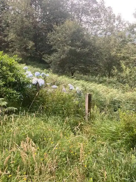 Maison avec jardin à vendre à A Laracha, imagen 46