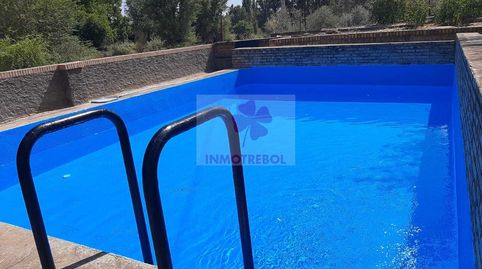 OPORTUNIDAD FINCA  IDEAL PARA TURISMO RURAL con Chalet Independiente, de 8.000m² aprox., de parcela con olivos. Situada entre Alan, image 2