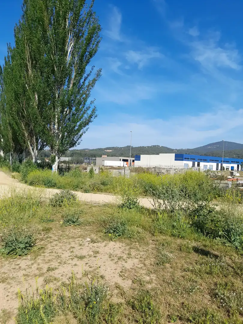 Terreny industrial de lloguer a Can Illa, imagen 8