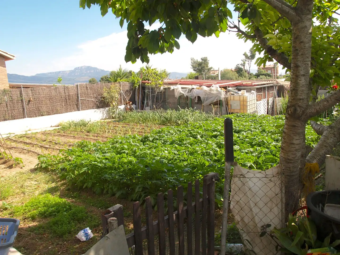 Garden of Houses for sale in Terrassa  with Terrace, Storage room and Oven