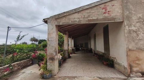 Foto 3 de Finca rústica en venda a La Algoda - Matola - Llano de San José, Elche / Elx