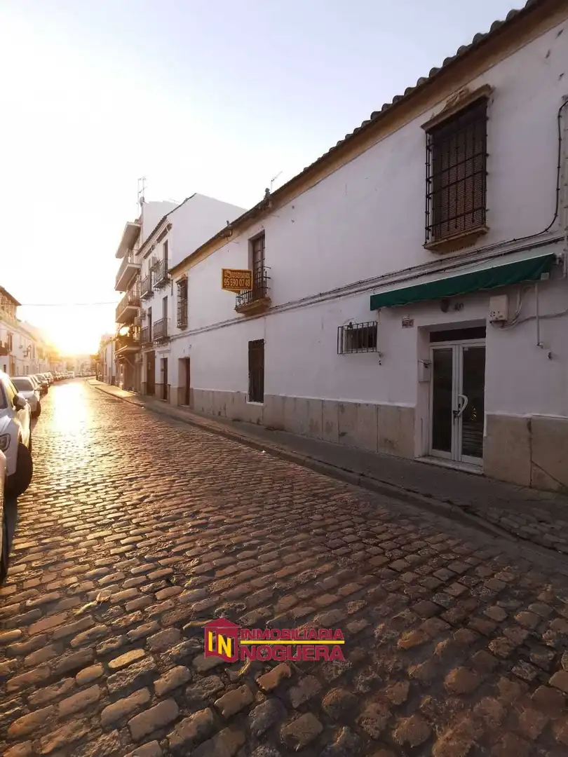 Exterior view of Houses for sale in Écija