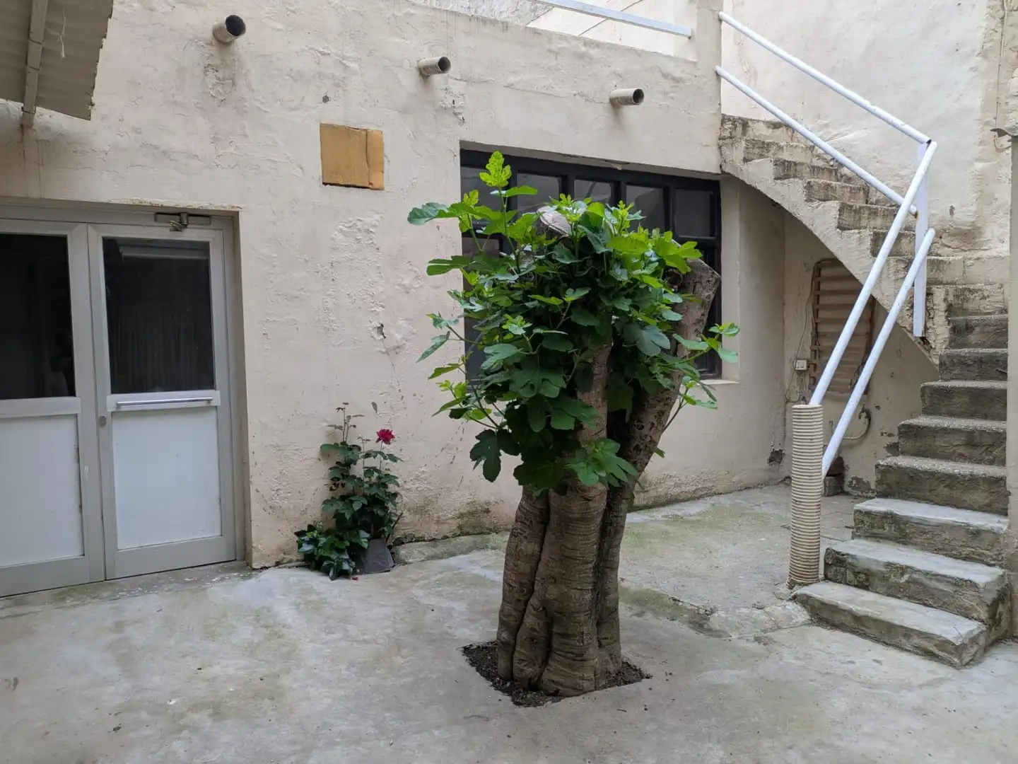 Garden of Houses for sale in Quinto  with Balcony