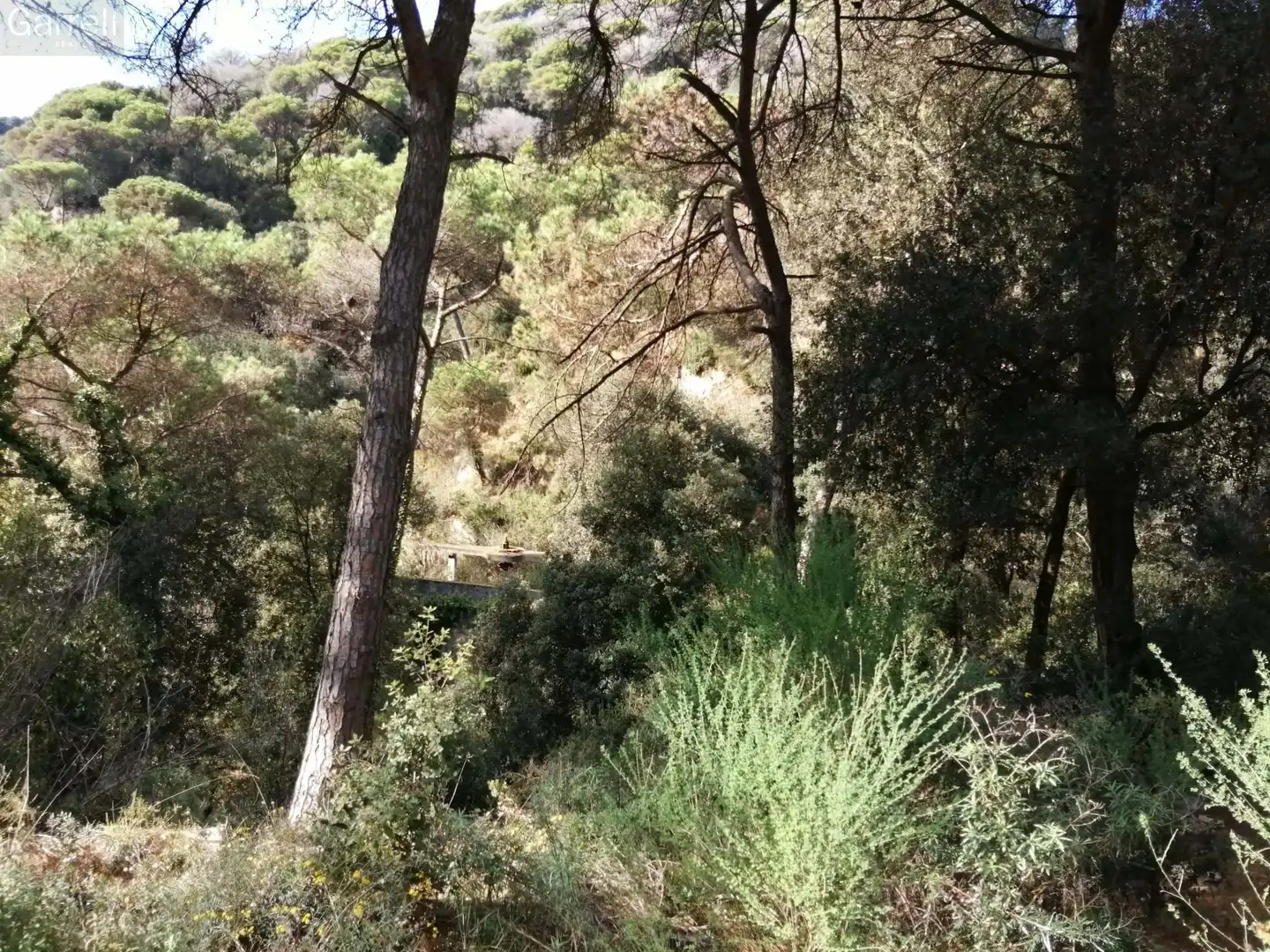 Grundstücke und Bauplätze zum Verkauf in AV CAN MASSUET 
 DOSRIUS (BARCELONA, imagen 59