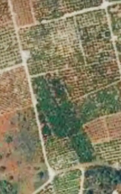 Terrain rustique à vendre à Oliva pueblo, imagen 3