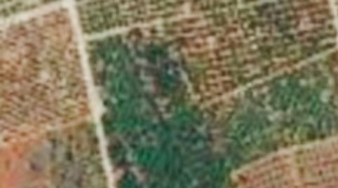 NUEVA PARCELA RÚSTICA EN VENTA EN OLIVA!, imatge 3