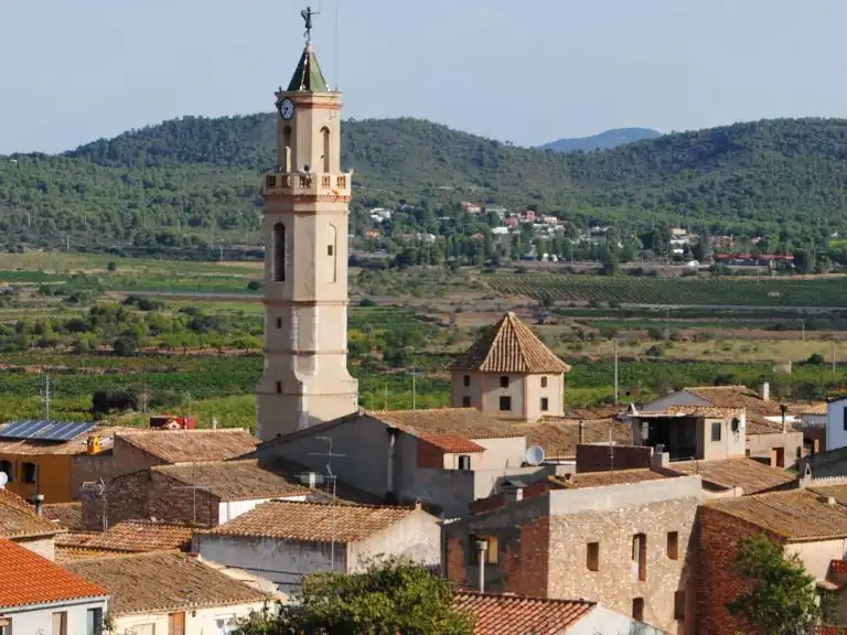 Rustikales Grundstück zum Verkauf in Cami Pedrera 4, imagen 19