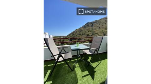 Photo 5 of Study to share in Port d'Alcúdia - Platja d'Alcúdia, Illes Balears