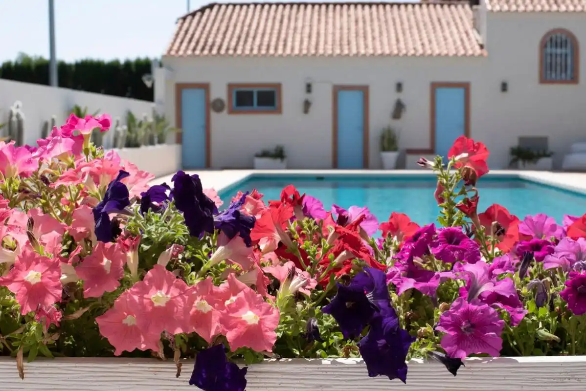 Piscina de Casa o chalet en venta en Elche / Elx con Aire acondicionado, Calefacción y Jardín privado
