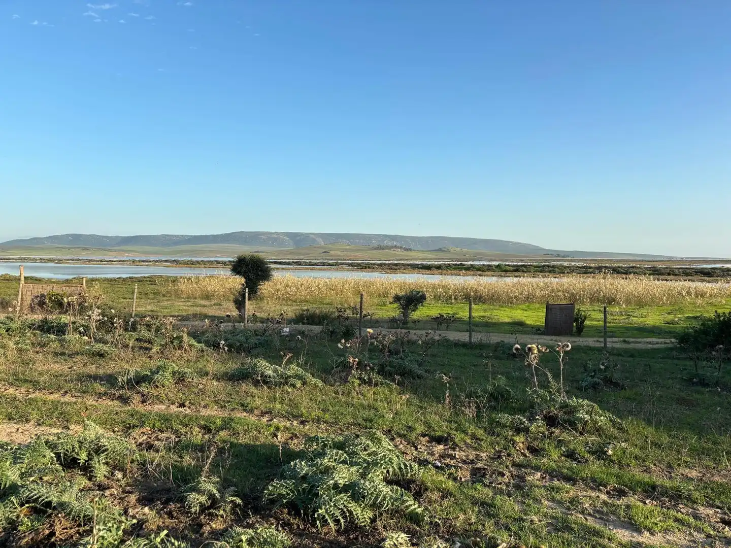 Terreni e lotti in vendita a Vejer, imagen 42