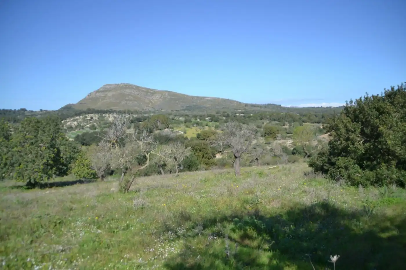 Casa rústica amb jardí en venda a Sant Llorenç des Cardassar, imagen 4