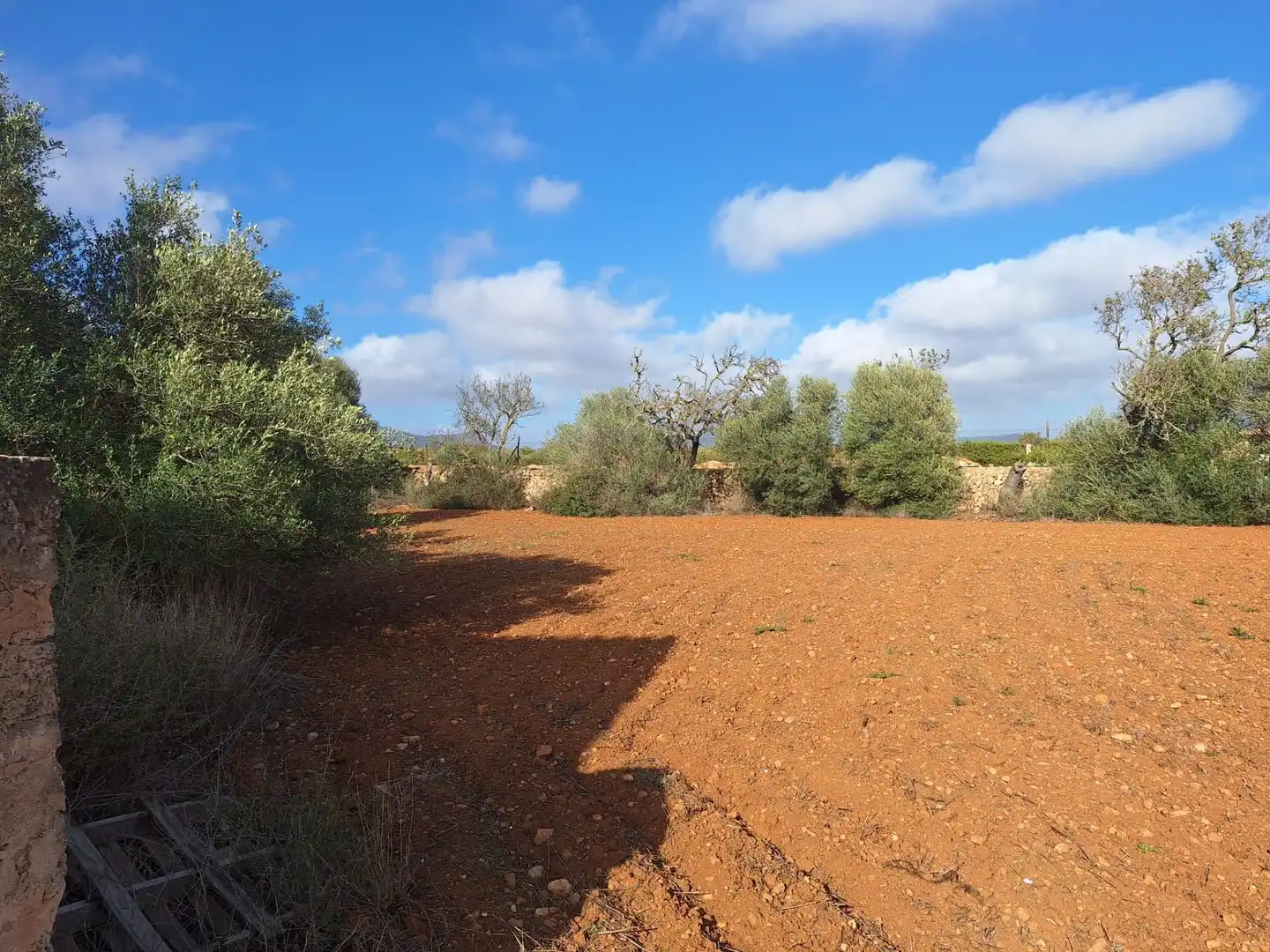 Terreno rustico in vendita a Llucmajor pueblo, imagen 4