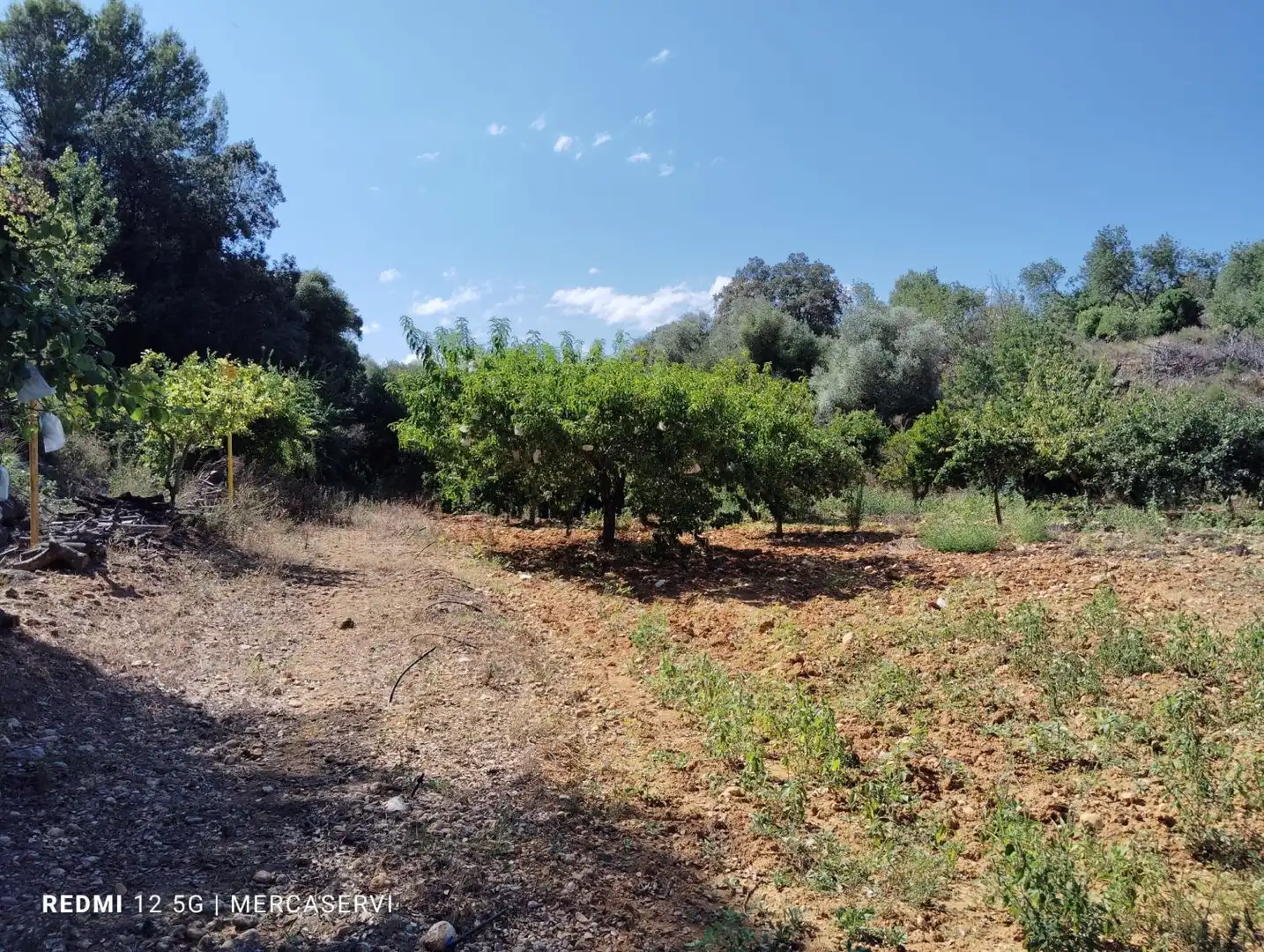 Casa o chalet en venta en Les Coves de Vinromà con Terraza