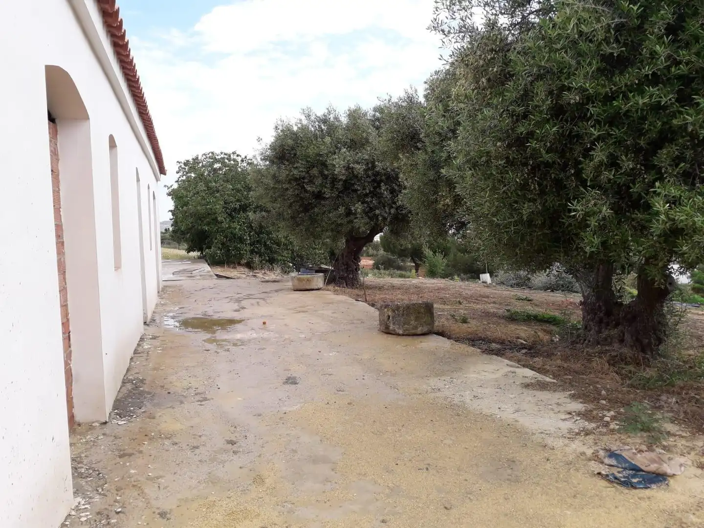 House for sale in Bornos, imagen 4