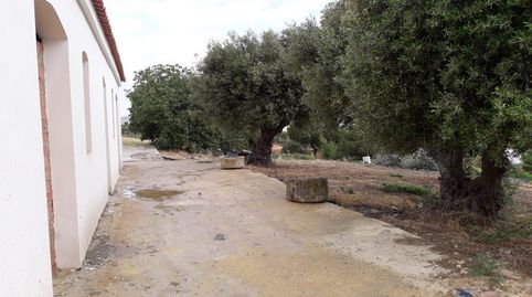FINCA RUSTICA EN BORNOS CON EDIFICACIONES Y VISTAS AL LAGO, imatge 4