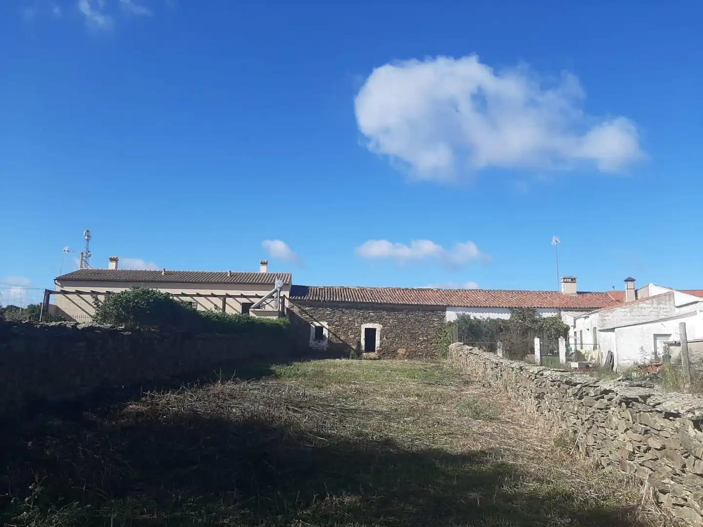 Exterior view of Houses for sale in Herreruela  with Private garden