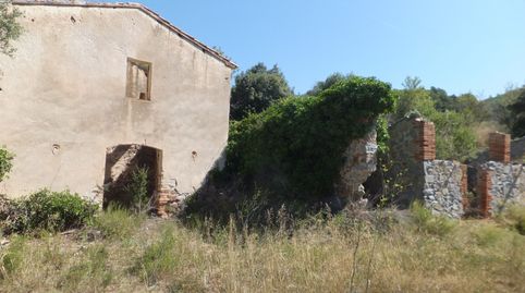MAS DE LES ALZINES, immagine 2
