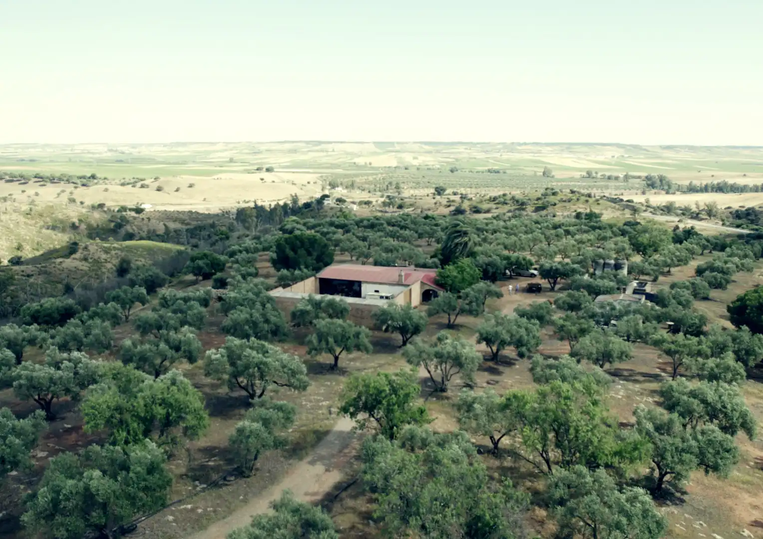 Finca rústica en venta en La Palma del Condado con Jardín privado, Terraza y Trastero