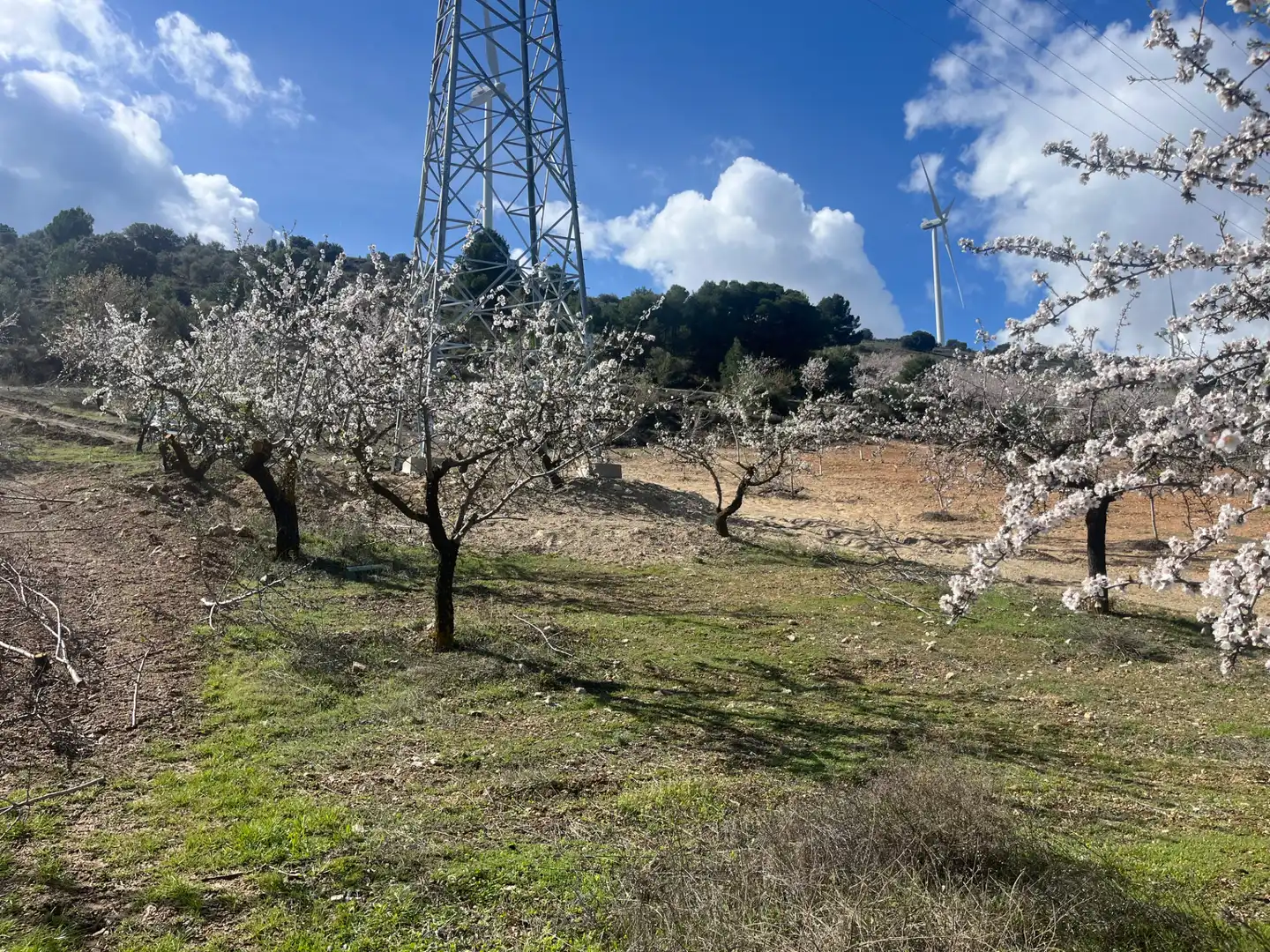 Rustikales Grundstück zum Verkauf in Camino de la Sierra, imagen 5