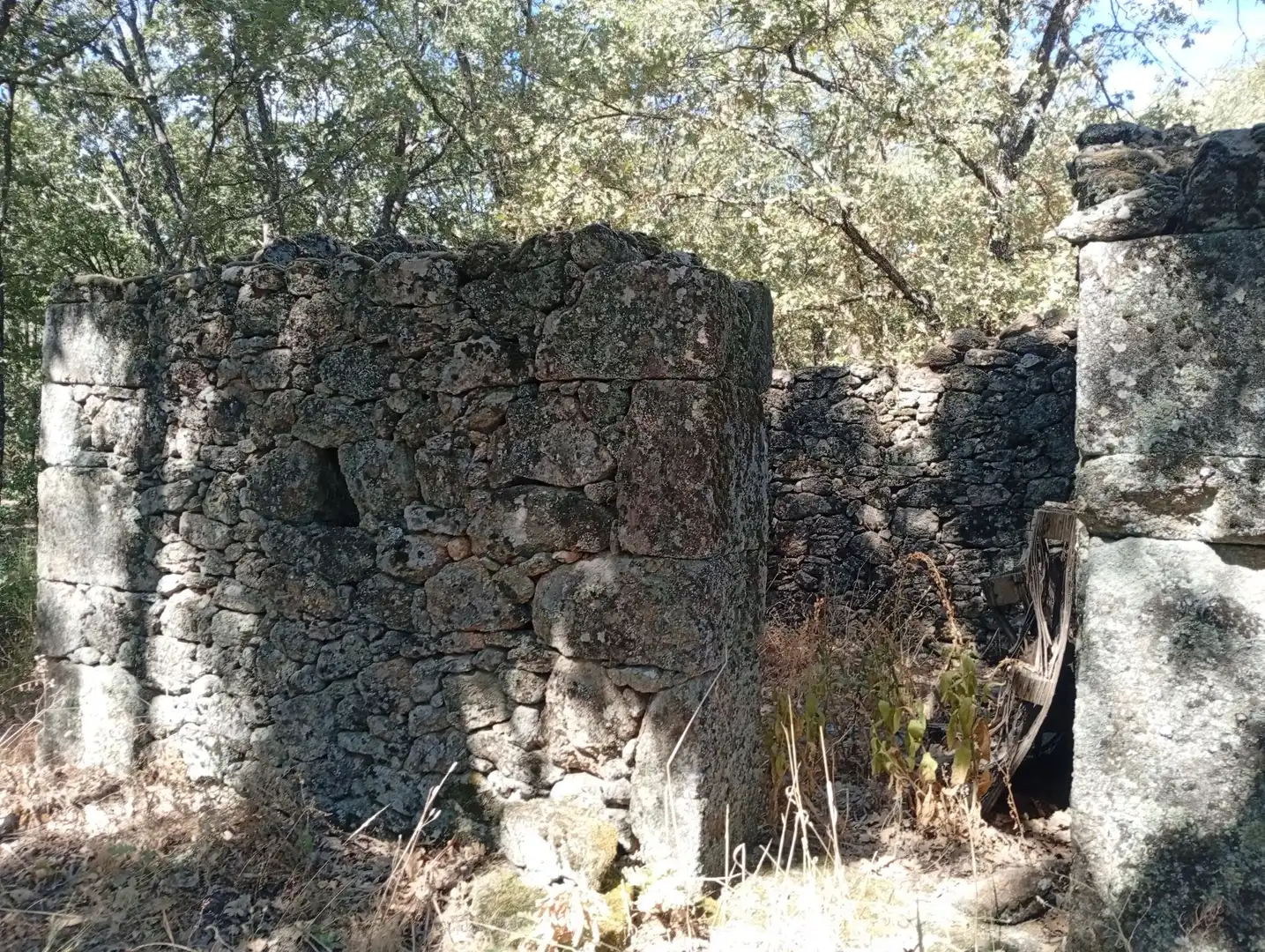 Terreni e lotti in vendita a Villanueva de la Vera, imagen 56