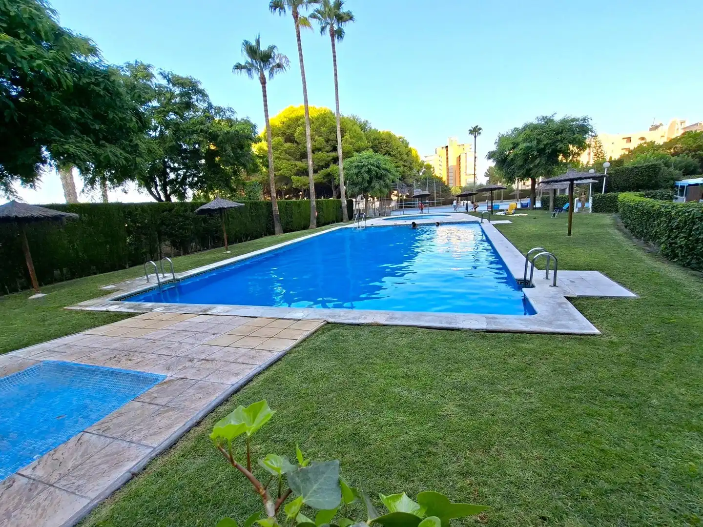 Schwimmbecken von Wohnungen zur Miete in El Campello mit Klimaanlage, Heizung und Möbliert