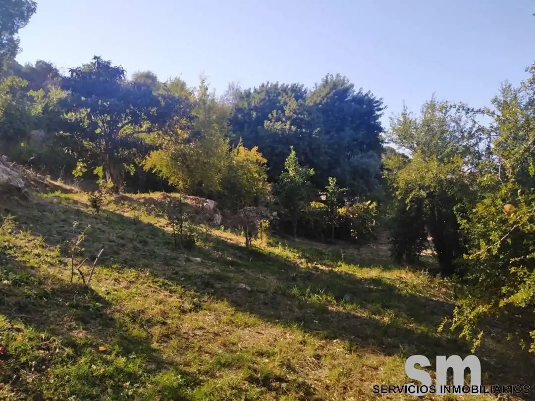 Terreno en venta en Zahara